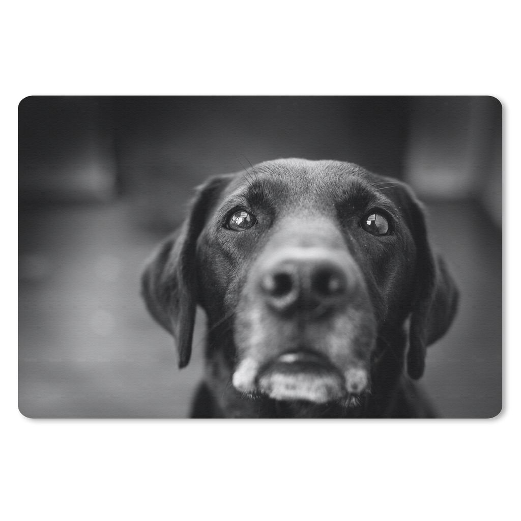 MuchoWow Mauspad Mousepad Tierprofil Labrador Hund in schwarz und weiß 27x18 cm - Mousepads - Maus Mat - Pad - Mausunterlage - Büroartikel - De...