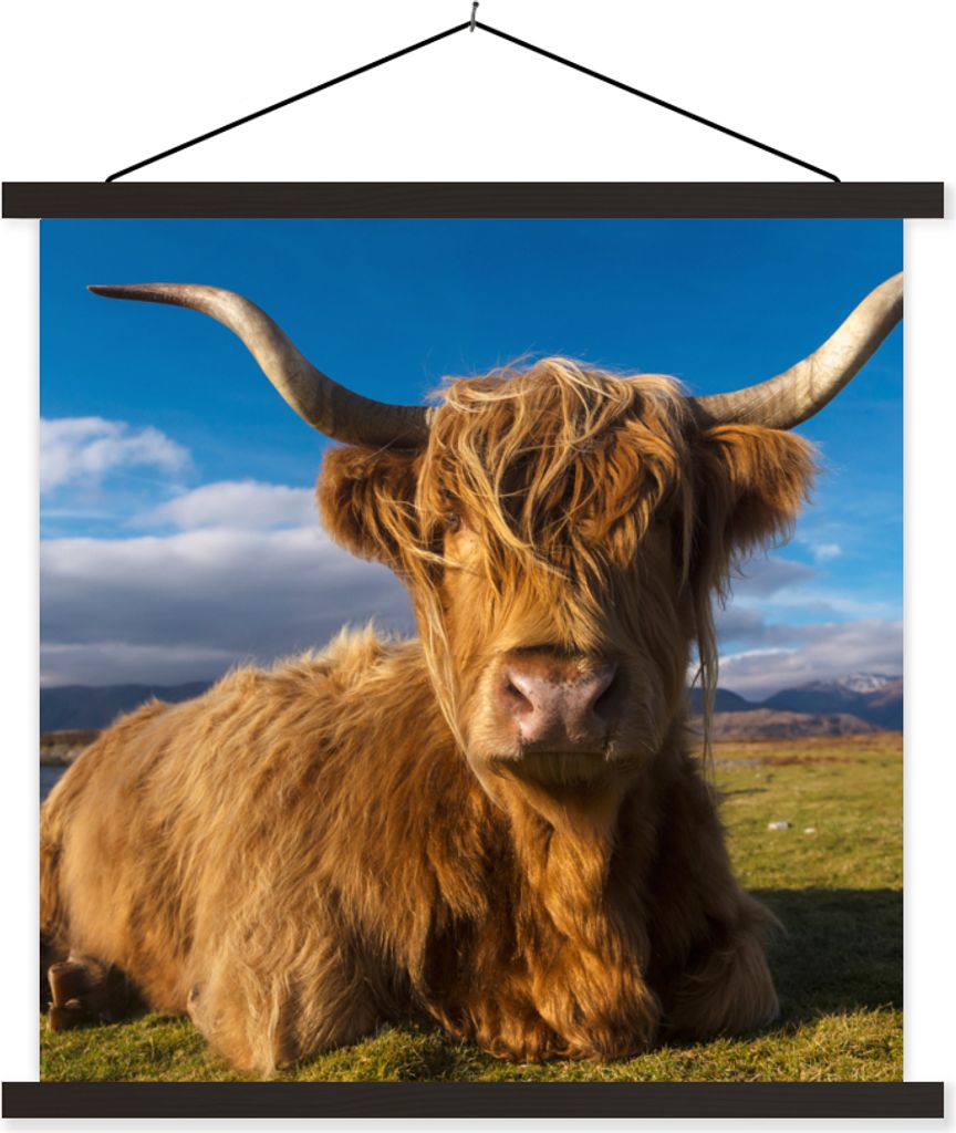 MuchoWow Textilposter Schottische Hochlandrind - Licht - Natur 40x40 cm mit schwarzem Rahmen - Fotos