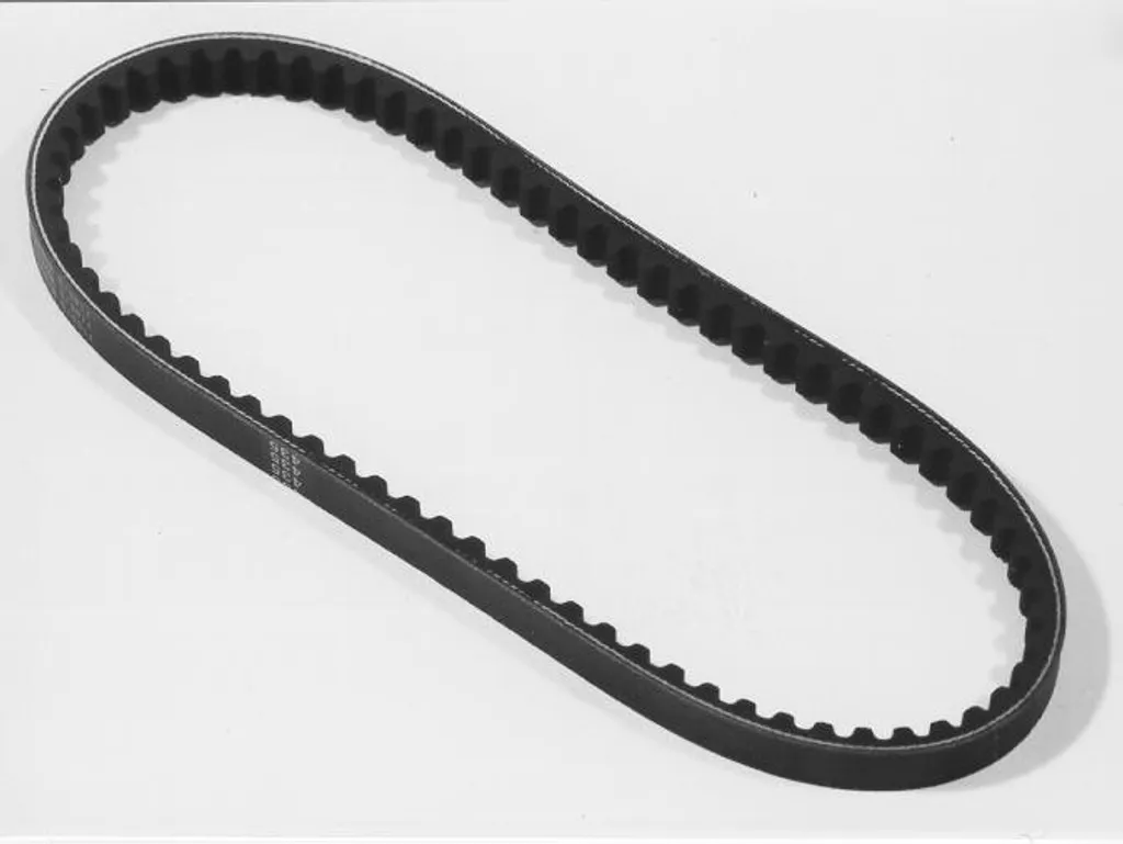 Courroie de transmission renforcée Malossi 16,5 x 745 mm haute qualité
