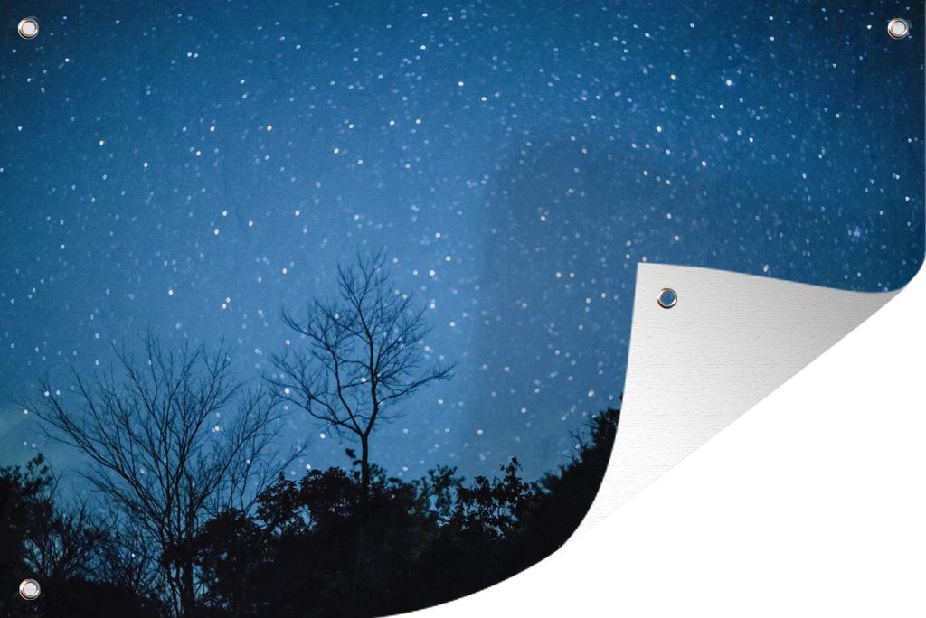 MuchoWow 60x40 cm Outdoor-Poster Gartendeko Sichtschutz Garten Poster für den Garten Sternenhimmel - Wald - Blau
