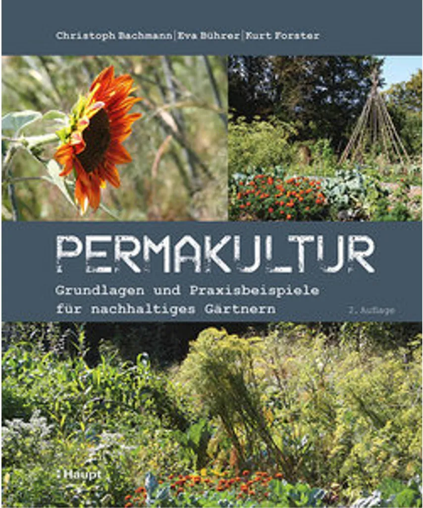 Permaculture autonome méthode de culture sur butte et gestion d'eau