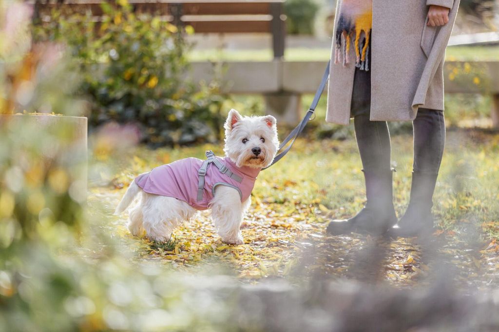 TRIXIE Geschirr-Mantel Pontis Rain - rosa