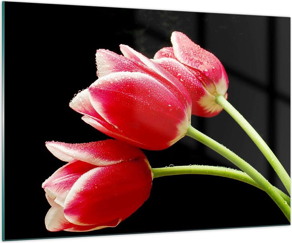 Bilder auf glas - Tulpe garten blume blumenstrauß - 100x70cm - Glasbilder - Wandbilder - Kunstdruck - zum Aufhängen bereit - Wanddekoration aus G...
