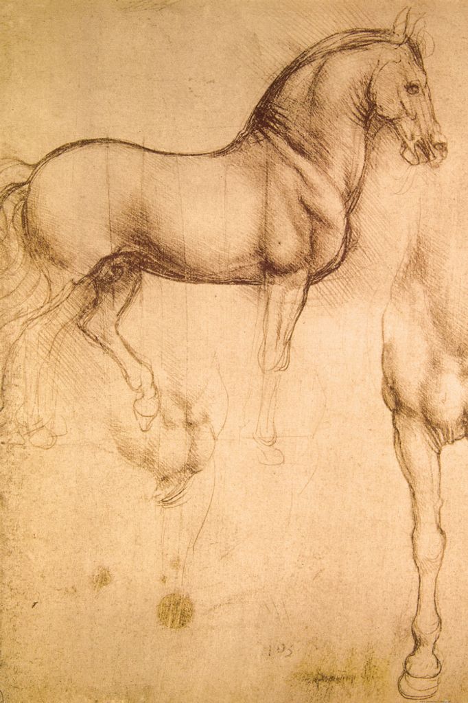 Leonardo Da Vinci Kunstdruck Bild - Pferdestudie, 1493-1494 Zdjęcie produktu 