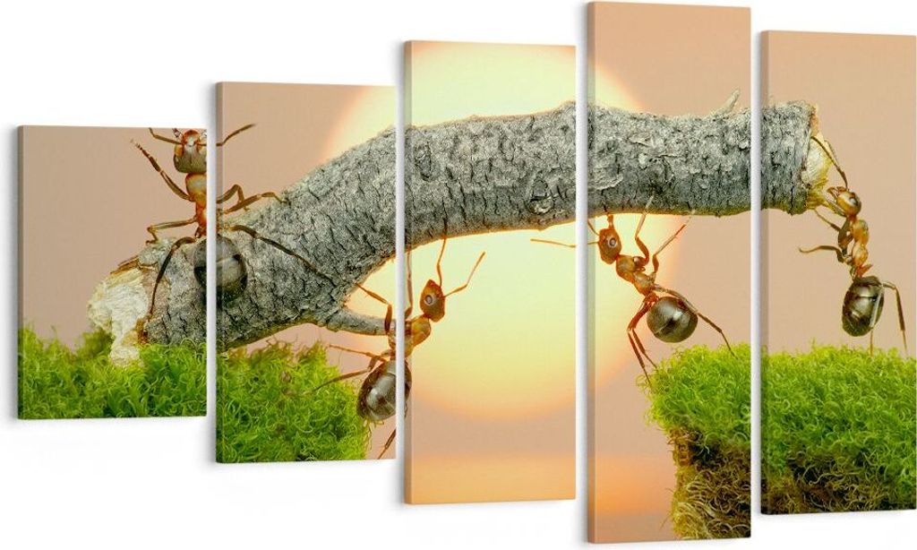 Bild auf Leinwand - Leinwandbild - Tiere Ameisen Brücke Natur - 100x60cm - Wand Bild - Wanddeko - Leinwanddruck - Bilder - Kunstdruck - Wanddekora...