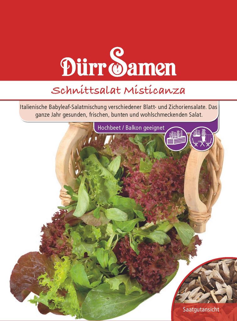 Schnittsalat Misticanza | Schnittsalatsamen von Dürr Samen Produktbild 