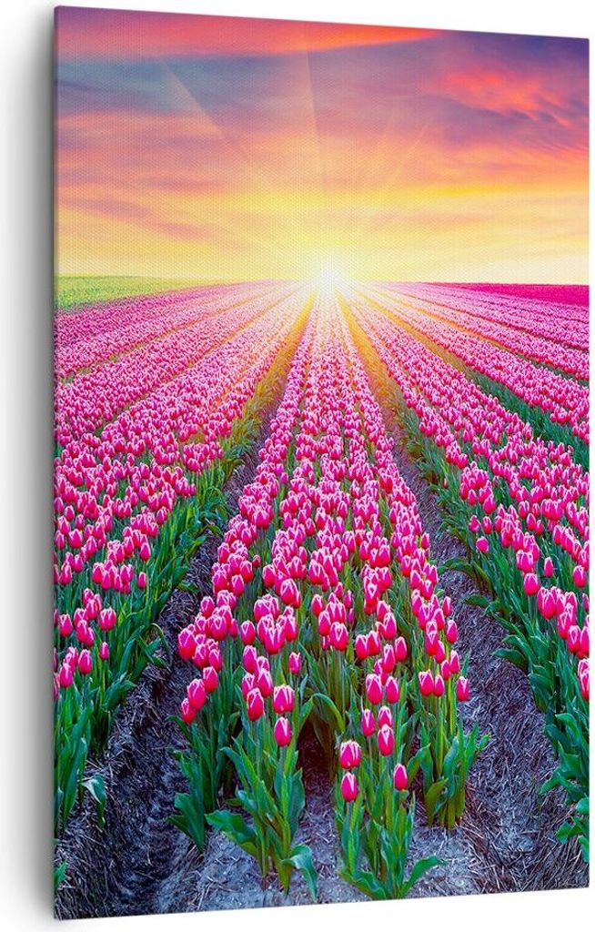 Bild auf Leinwand - Leinwandbild - Einteilig - Wiese Tulpen Sonnenuntergang Frühling - 80x120cm - Wand Bild - Wandbilder - Leinwanddruck - Wanddek...