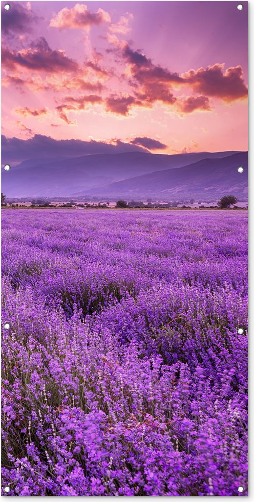 MuchoWow 80x160 cm Outdoor-Poster Gartendeko Sichtschutz Garten Poster für den Garten Lavendel - Lila - Blumen - Feld