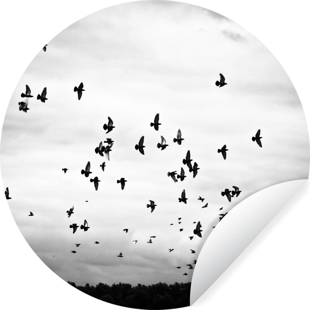 MuchoWow Runde Wandtattoo - Wandsticker Tapete Aufkleber Tiere - Vögel - Wolken - Schwarz - Weiß Ø 80 cm Selbstklebend und Repositionierbar - ...