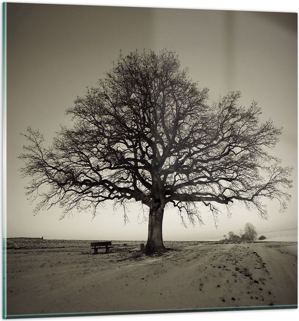 Bilder auf glas - Einteilig - Baum Schnee Sepia - 30x30cm - Glasbilder - Wandbilder - Bilder - zum Aufhängen bereit - Wanddekoration aus Glas - Gl...
