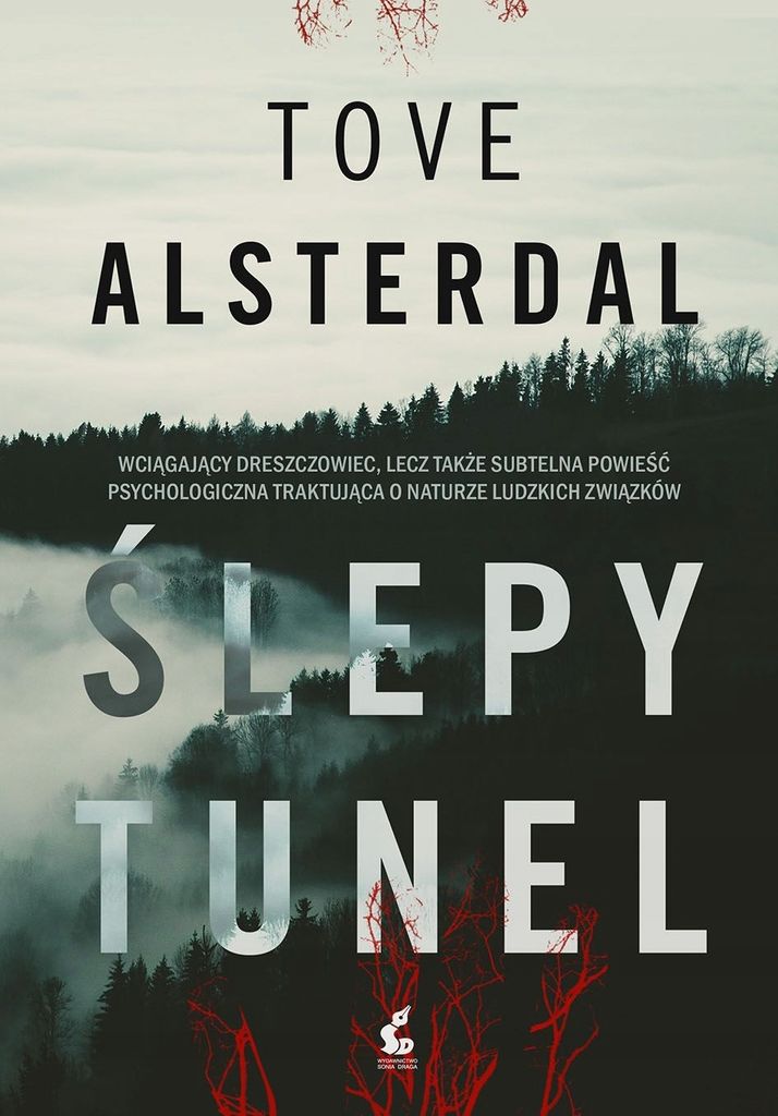 ISBN Blindtunnel, Polnisch, Taschenbuch, 280 Seiten