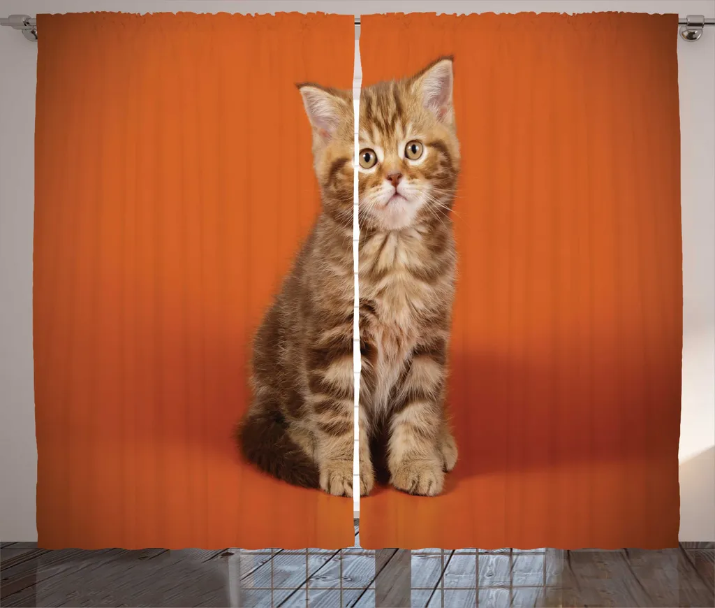 ABAKUHAUS Rideau Rustique Chaton Scottish Straight 280x225cm Orange