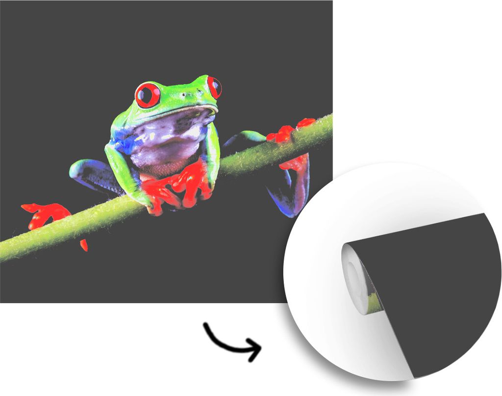 MuchoWow Fototapete für Wohnzimmer oder Schlafzimmer Wandtapete Vinyl Motivtapete Frosch - Orange - Grün - 280x280 cm - Hintergrundbild
