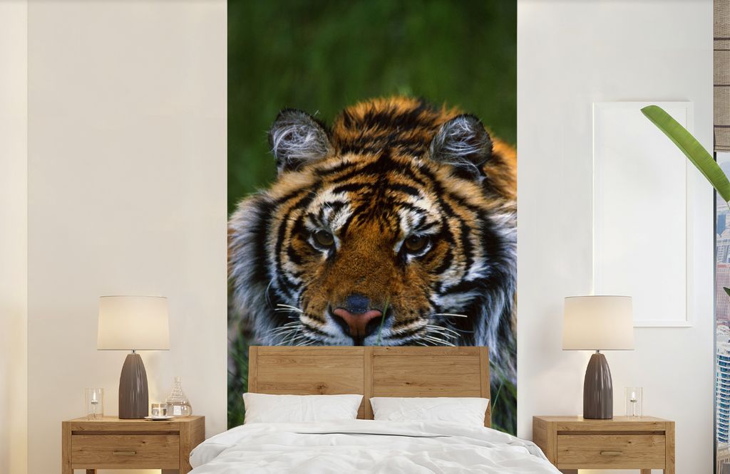 MuchoWow Fototapete für Wohnzimmer oder Schlafzimmer Wandtapete Vinyl Motivtapete Sibirischer Tiger im Gras versteckt - 120x240 cm - Hintergrund...