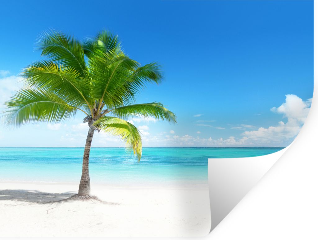 MuchoWow Wandtattoo Wandsticker Wandaufkleber Palme - Strand - Meer - Sommer 40x30 cm Selbstklebend und Repositionierbar - Faltenfrei