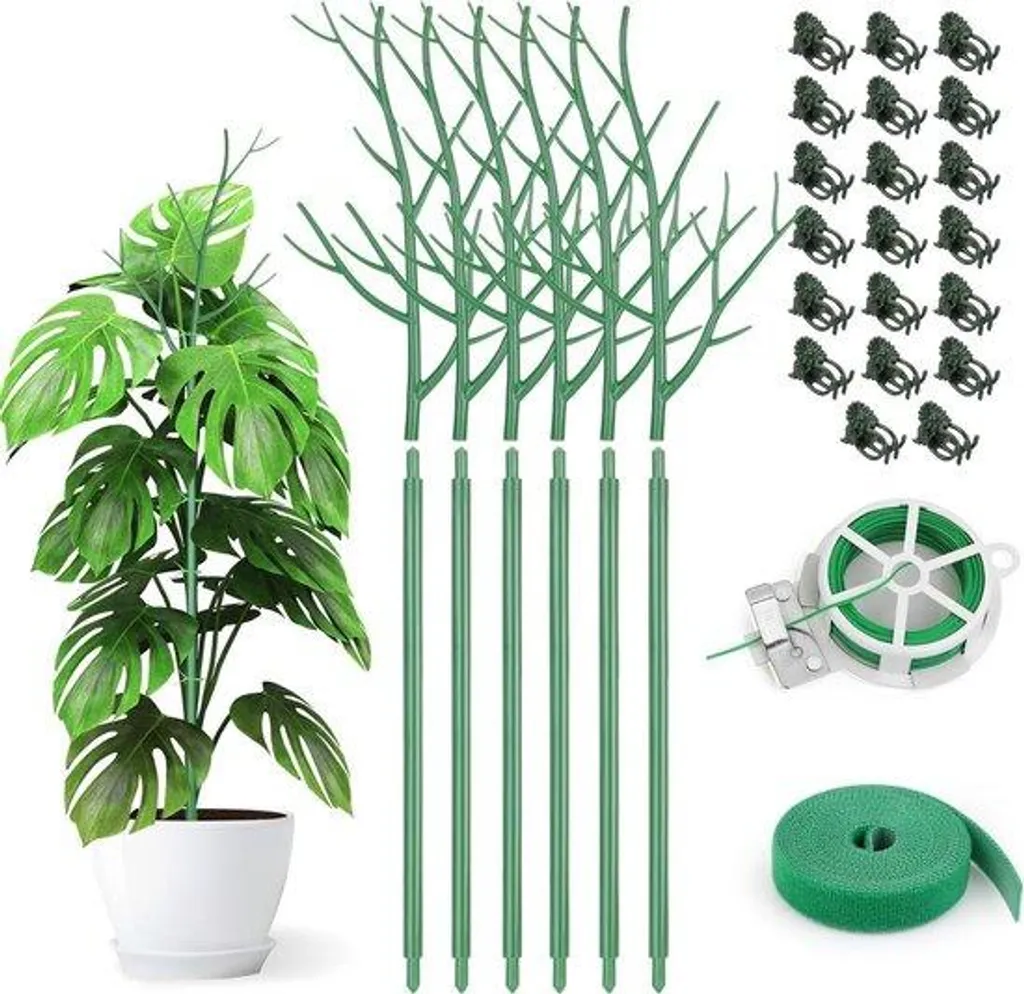 Support orchidée 70 cm lot de 6 pour redresser vos tiges tombantes