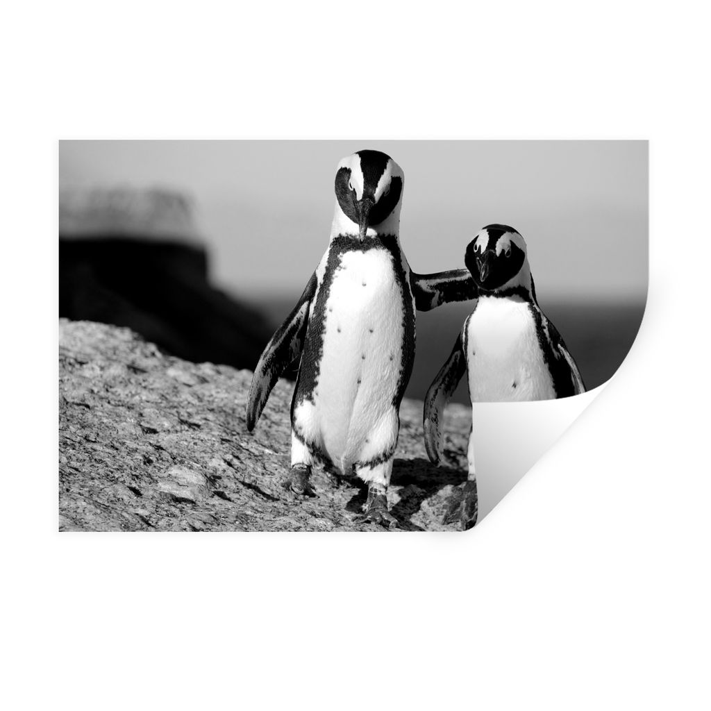 MuchoWow Wandtattoo Wandsticker Wandaufkleber Zwei Pinguine kuscheln auf einem Felsen - schwarz und weiß 120x80 cm Selbstklebend und Repositioni...