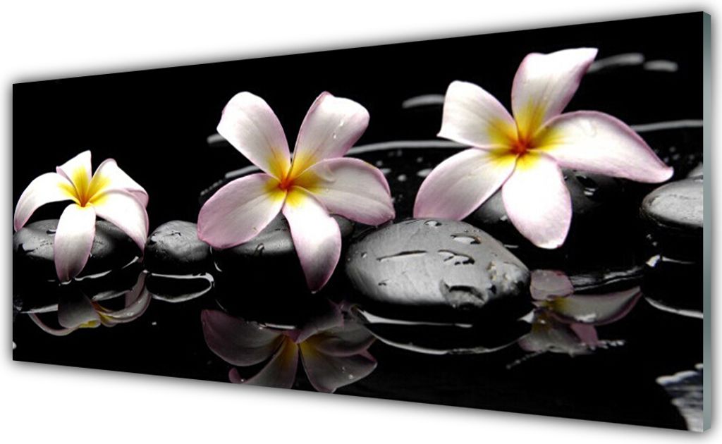 Küchenrückwand aus Glas 125x50cm Spritzschutz Blumen Steine Pflanzen