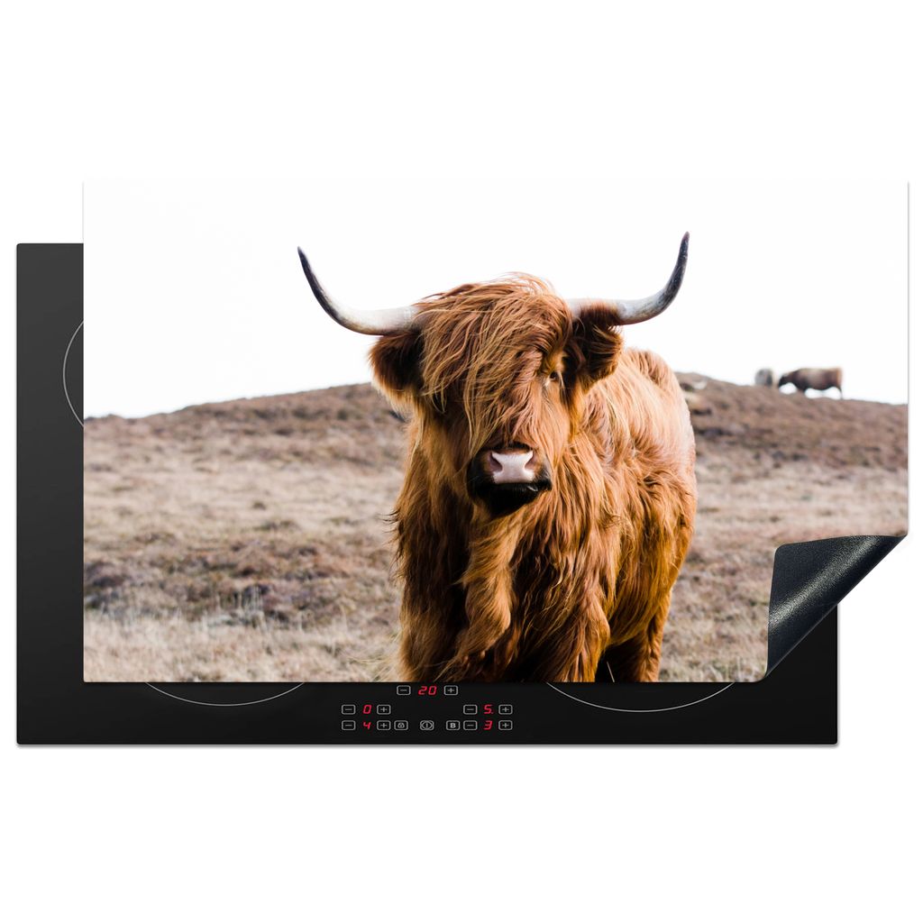 KitchenYeah Herdabdeckplatte Schottische Highlander - Landschaft - Kuh - Braun - Tiere - Natur , 85x52cm, Küche Deko, Glaskeramikkochfeld Herdab...