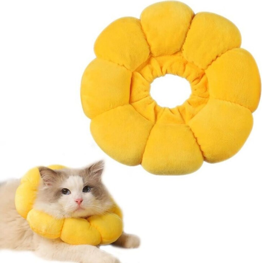 Halskrause Katze Einstellbar Halsband Weich Halskragen Hund (M)