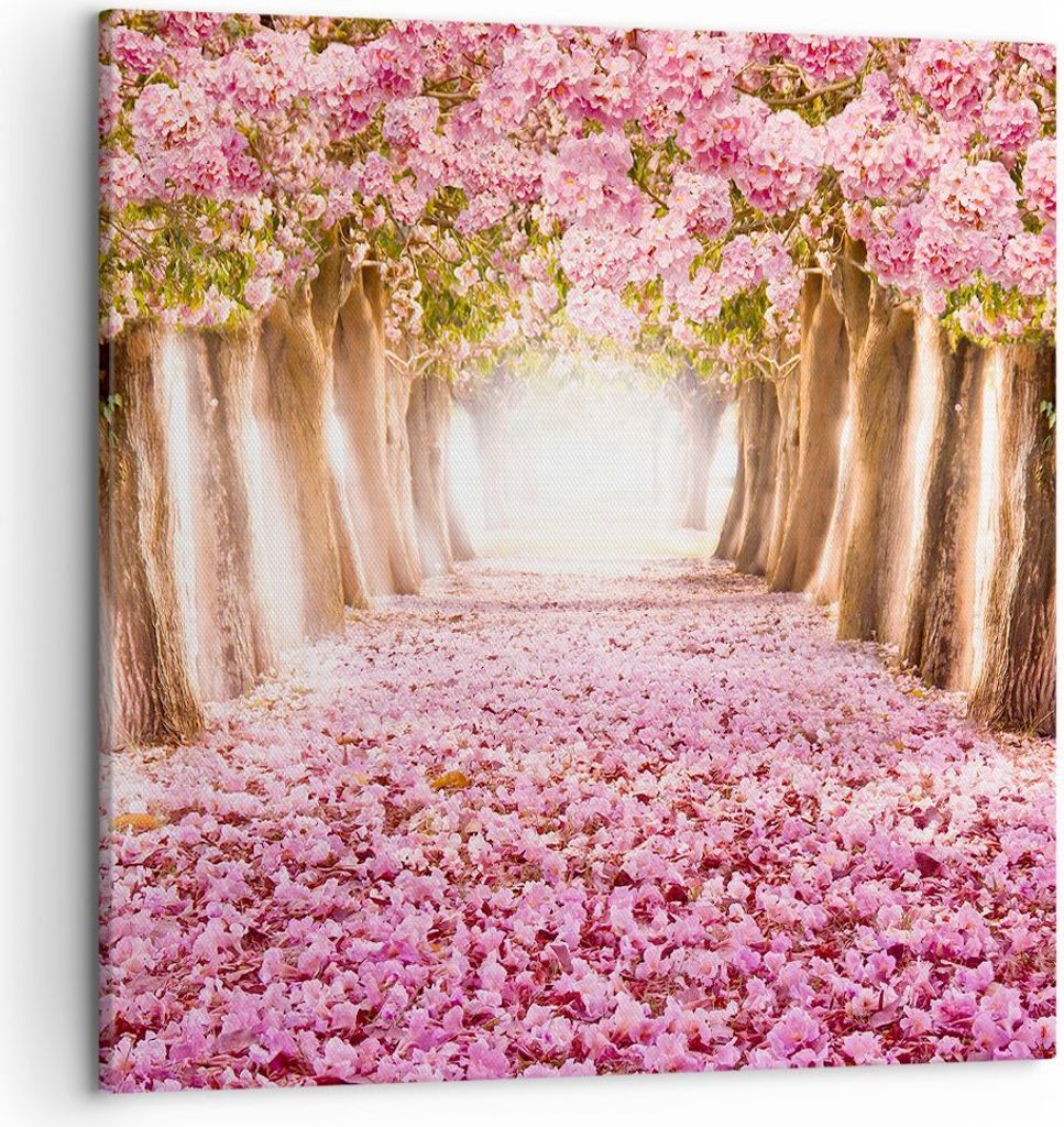 Bild auf Leinwand - Leinwandbild - Baum Blumen Kirsche Natur - 50x50cm - Wand Bild - Wanddeko - Leinwanddruck - Bilder - Kunstdruck - Wanddekoratio...