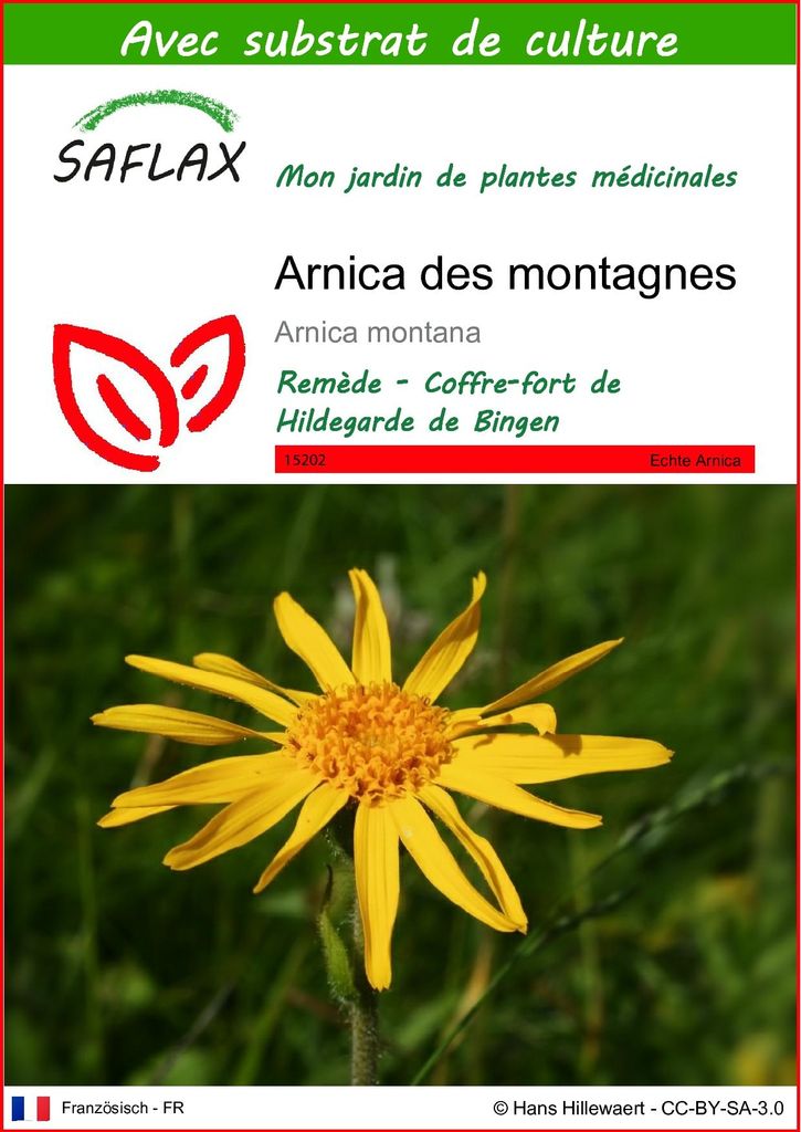 SAFLAX  - Arnica des montagnes - 40 graines - Avec substrat Image du produit 