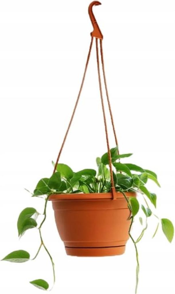 Hängender Blumentopf aus Terrakotta, 13 x 21 cm, 2 l, Produktbild 