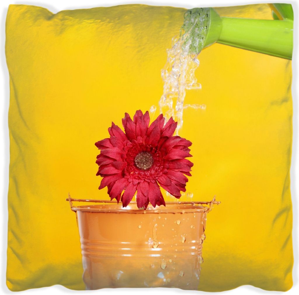 Wallario Premium Kissen, weiche Oberfläche, mit Motiv Rote Blüte im Blumentopf - frisch begossen, Größe: 60 x 60 cm, mit weißer Rückseite