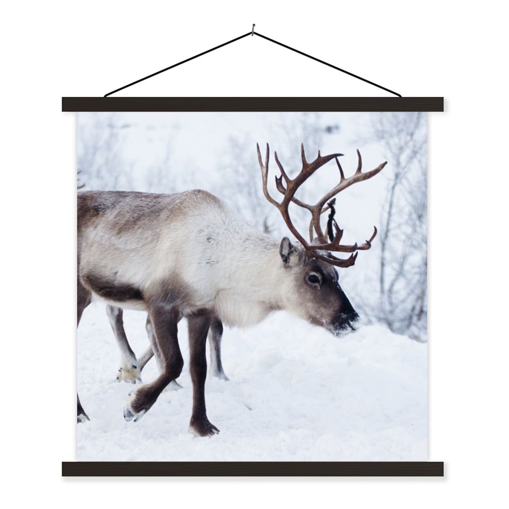 MuchoWow Textilposter Ein Weihnachtsfoto von Rentieren entlang der Straßen von Kilpisjarvi, Finnland 120x120 cm mit schwarzem Rahmen - Aufhängu...