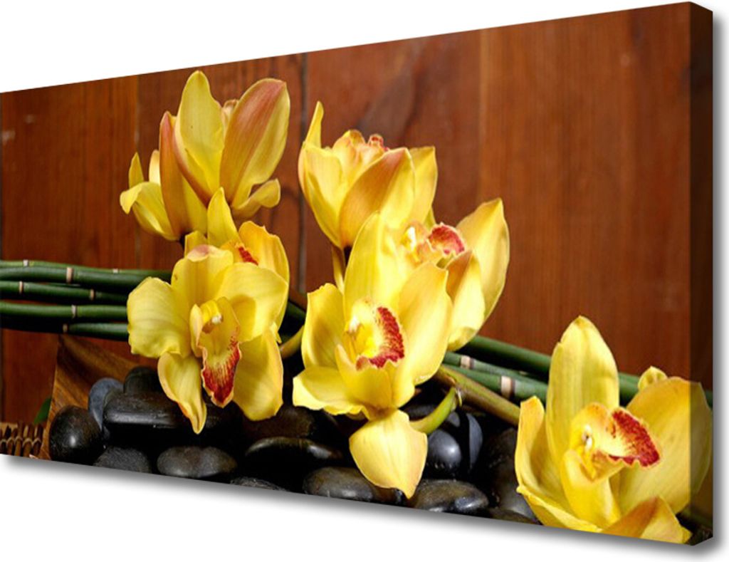 Tulup Leinwand-Bilder 100x50 Wandbild Canvas Kunstdruck Blumen Steine Pflanzen