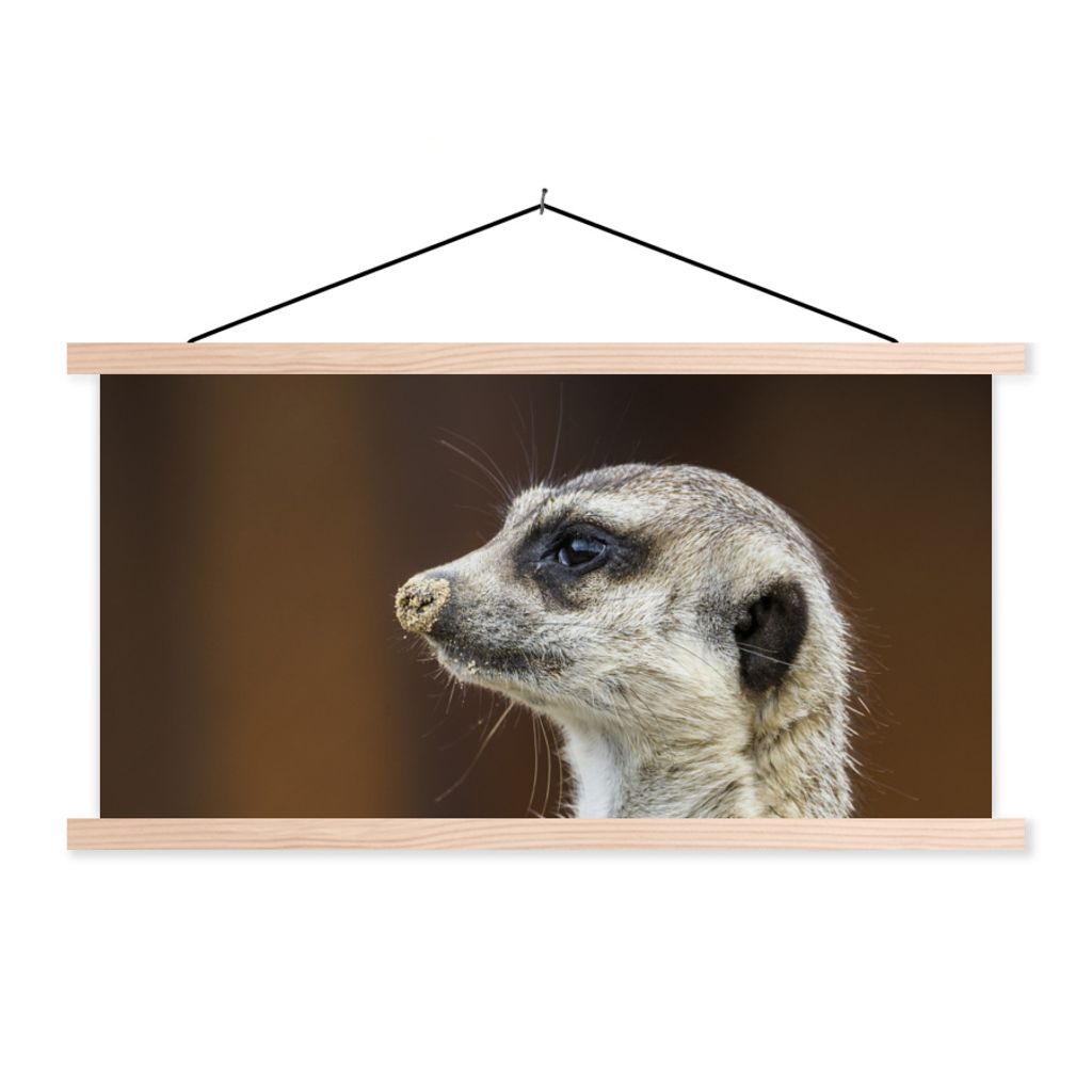 MuchoWow Textilposter Erdmännchen - Tier - Spiel 120x60 cm mit holzfarbenen Rahmen - Klemmleiste