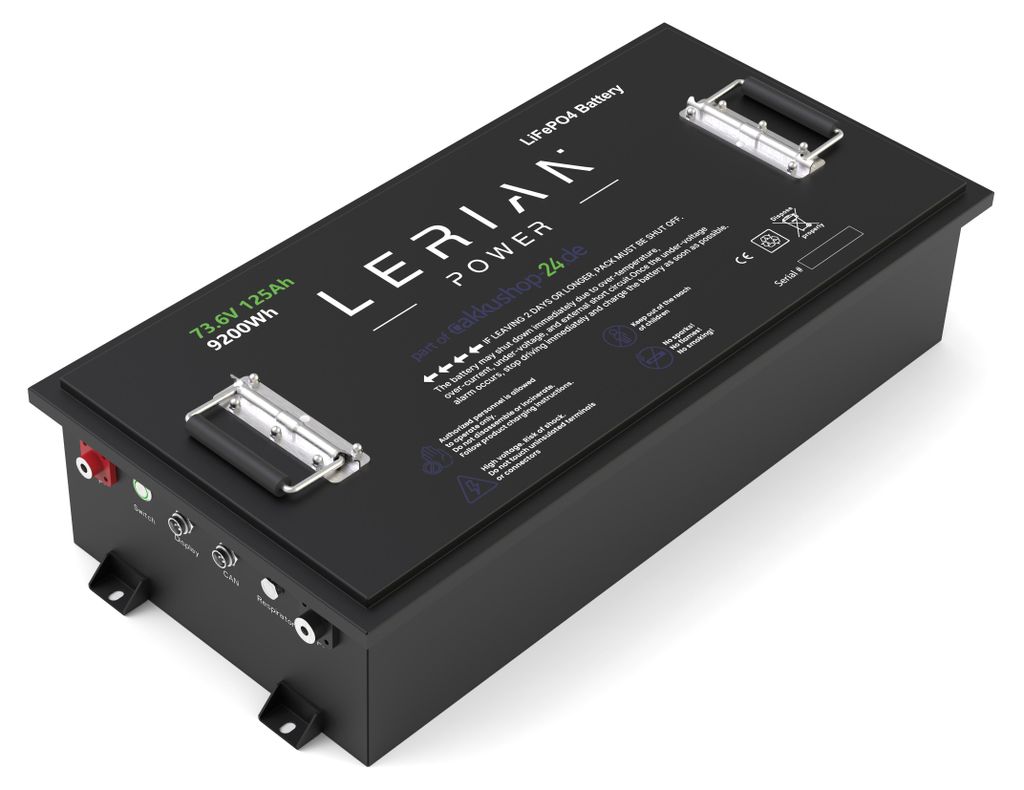 LiFePO4 Akku 72V (73,6V) 125Ah 300A Lithium-Eisenphosphat Batterie für Elektromobile Scooter Golfcarts