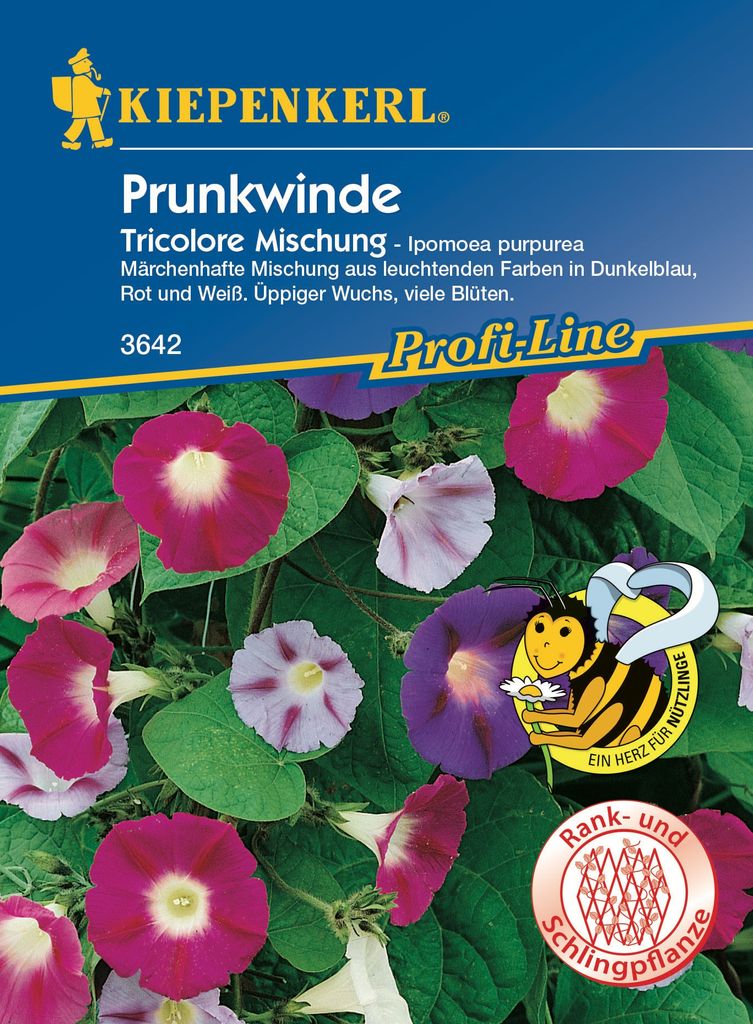Prunkwinde Tricolore Mix | Windensamen von Kiepenkerl Produktbild 