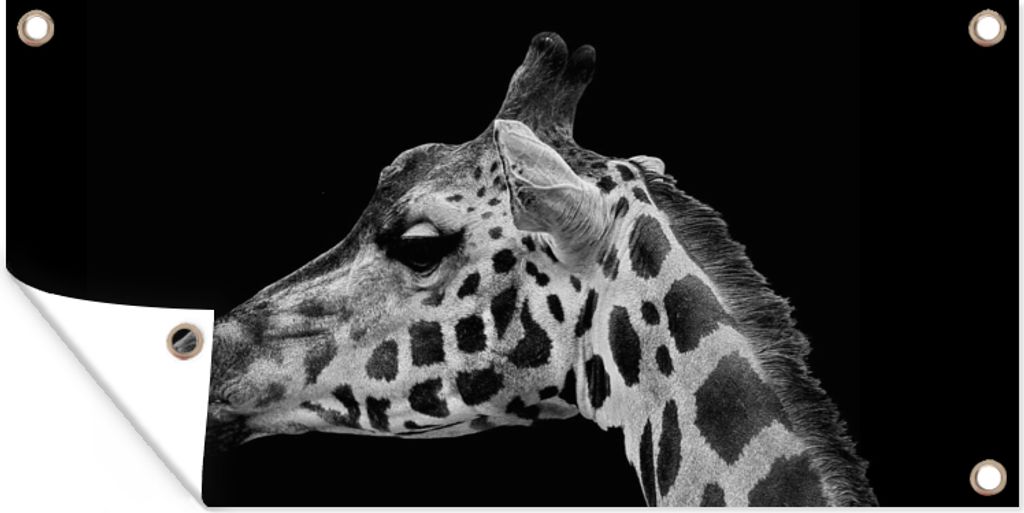 MuchoWow 160x80 cm Outdoor-Poster Gartendeko Sichtschutz Garten Poster für den Garten Tiere - Giraffe - Schwarz - Weiß