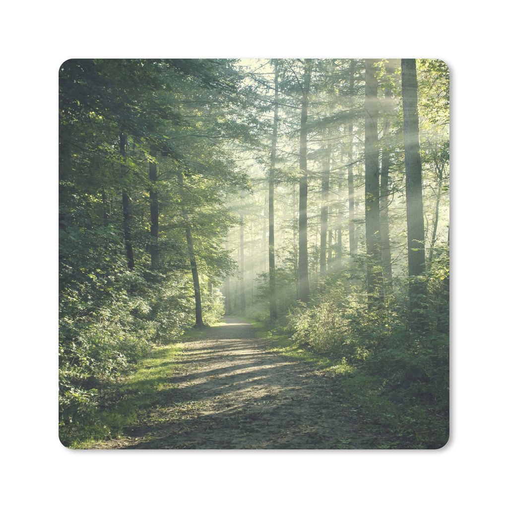MuchoWow® Mauspad Mousepad Wald - Licht - Weg 20x20 cm - Produktbild 