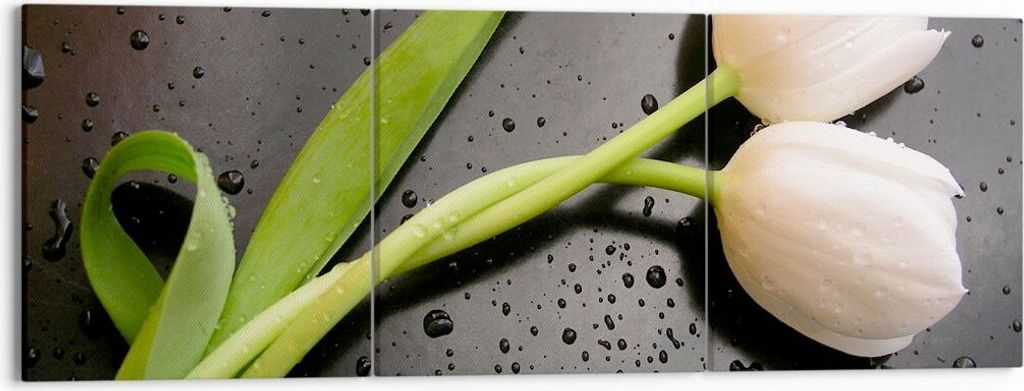 Bild auf Leinwand - Leinwandbild - Tulpen Blume Pflanzung Pflanze - 150x50cm - Wand Bild - Wanddeko - Leinwanddruck - Bilder - Kunstdruck - Wanddek...