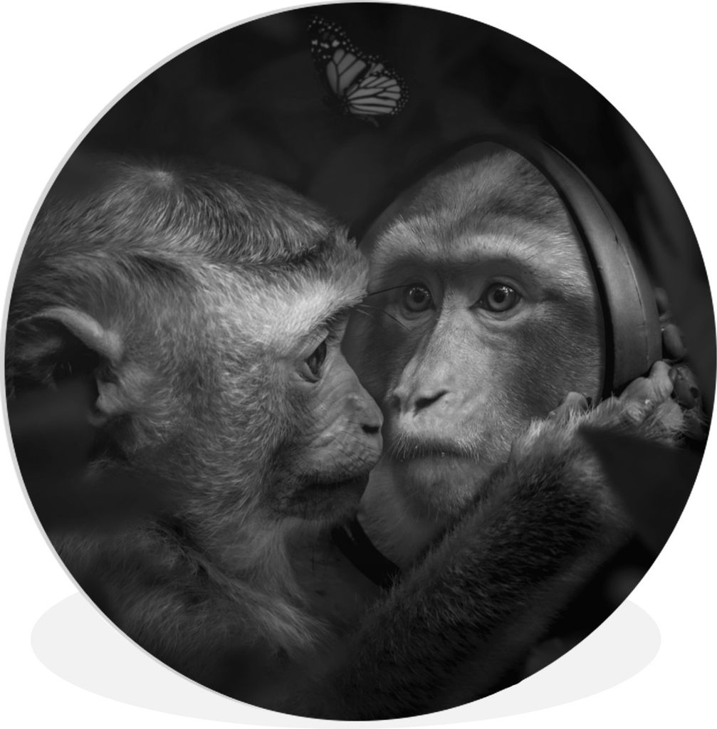MuchoWow Rundes Wandbild - Runde Bilder Schmetterling - Affe - Tiere - Dschungel - Schwarz - Weiß Ø 90 cm Kreis Wanddekoration Kunststoff - Wan...