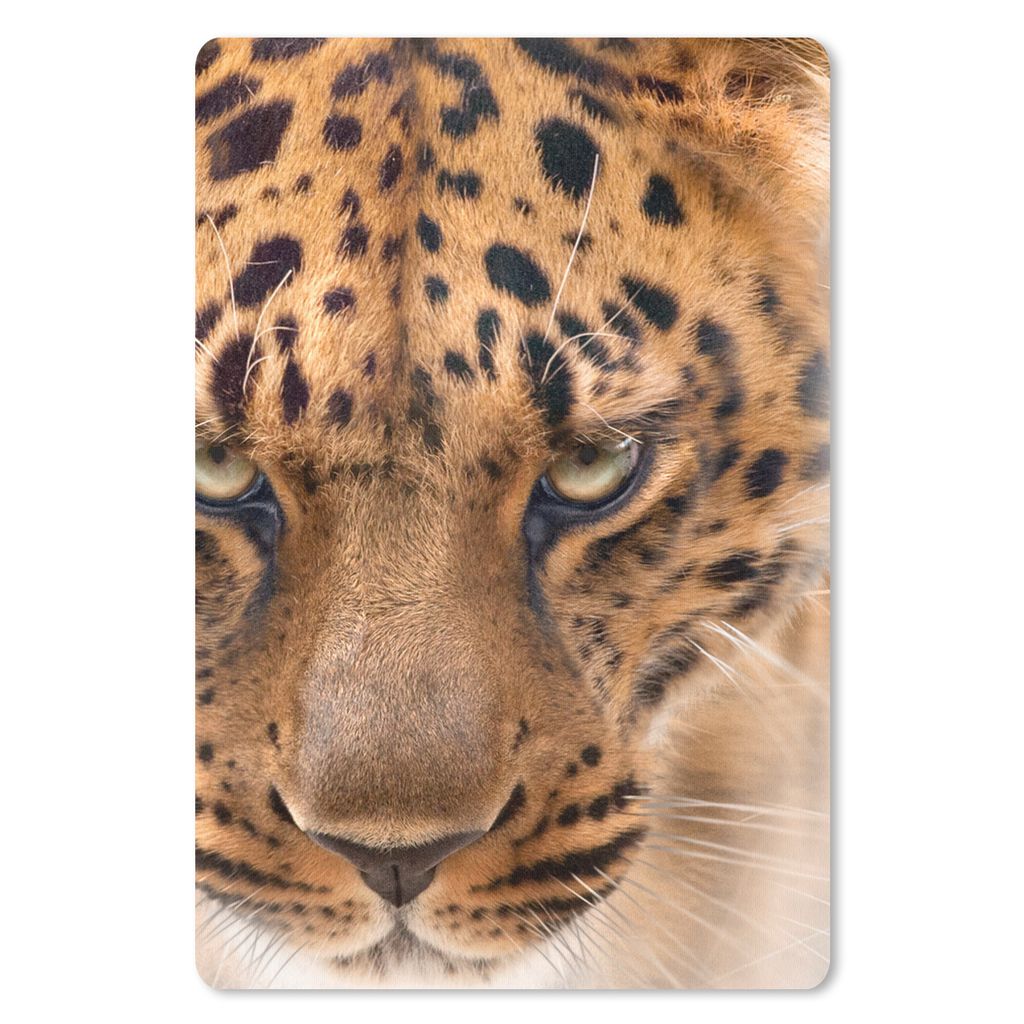 MuchoWow Mauspad Mousepad Leopard - Porträt - Gesicht 40x60 cm - Mousepads - Maus Mat - Pad - Mausunterlage - Schreibtisch Accesoire