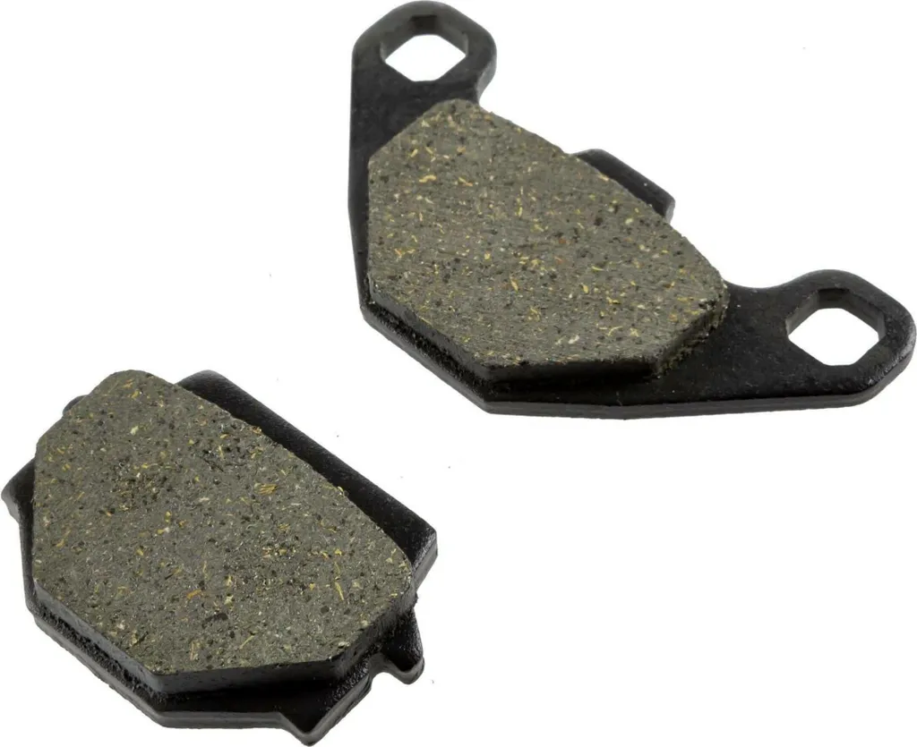 Plaquettes de frein Polini organiques : mordant et silence pour Kawasaki