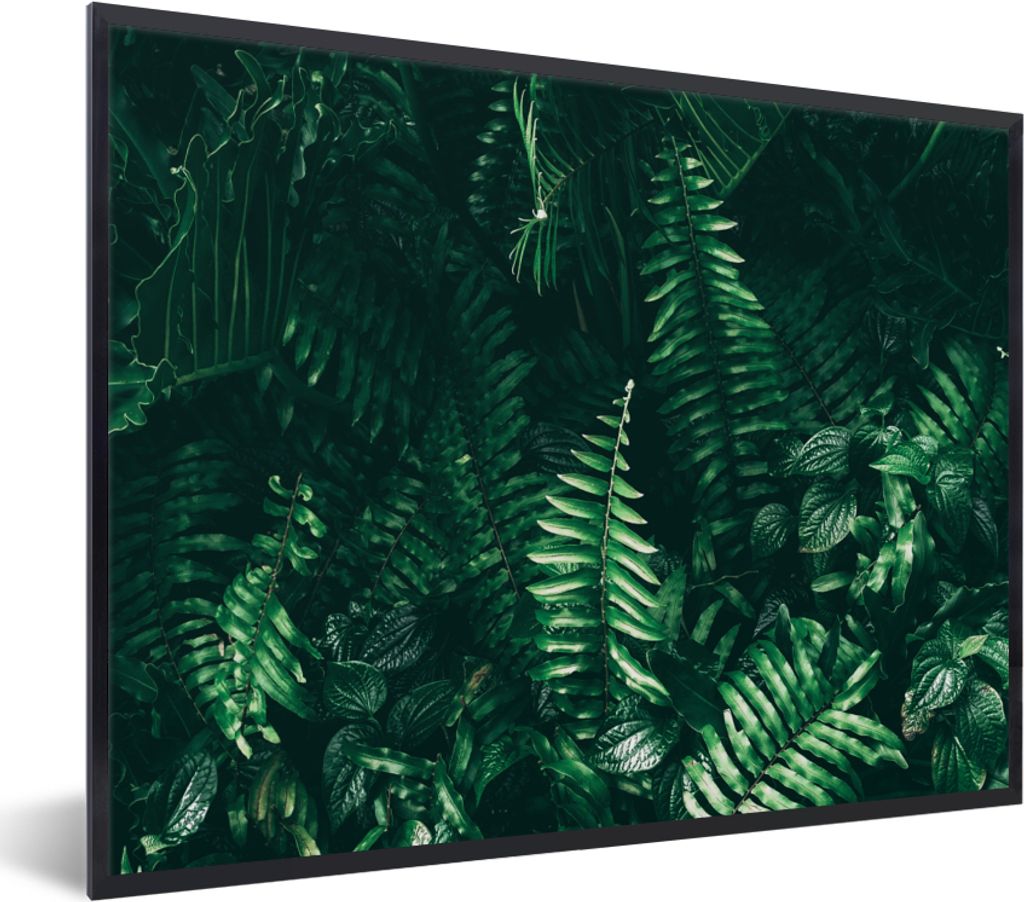 MuchoWow Gerahmtes Poster Blätter - Dschungel - Natur - Tropisch - Pflanzen 40x30 cm - Poster mit Schwarzem Bilderrahmen Wandposter Rahmen Foto ...