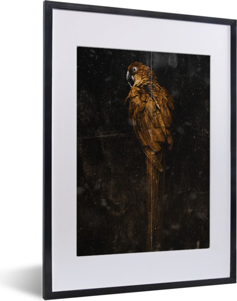MuchoWow MuchoWow Gerahmtes Poster Papagei - Vogel - Foto 30x40 cm - Poster mit zchwarzem Bilderrahmen - Wandposter Schlafzimmer