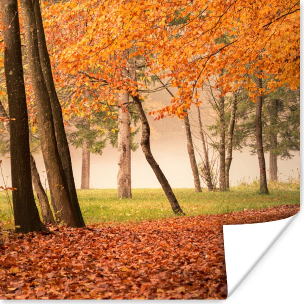 MuchoWow Poster Blätter - Herbst - Wald 30x30 cm - Wandposter - Printing