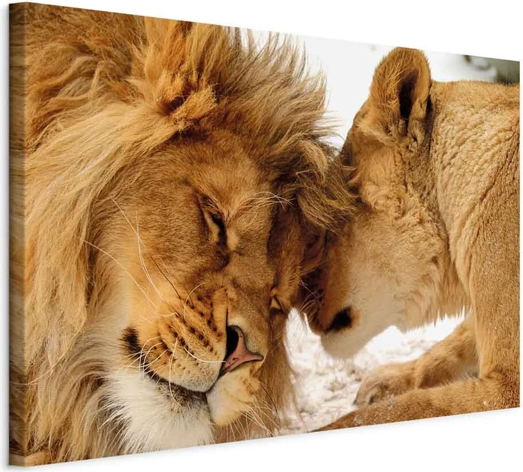 Arredo Parete Chic - Quadro Tela 90x60 cm Animali Il Segreto dell'Amore