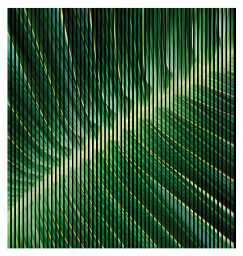 Akustikpaneele mit Digitaldruck Blatt01 19 x 2253 x 2400 mm Blatt Pflanze MDF PET-Fasern Wandpaneele Grün 4 Einzelplatten