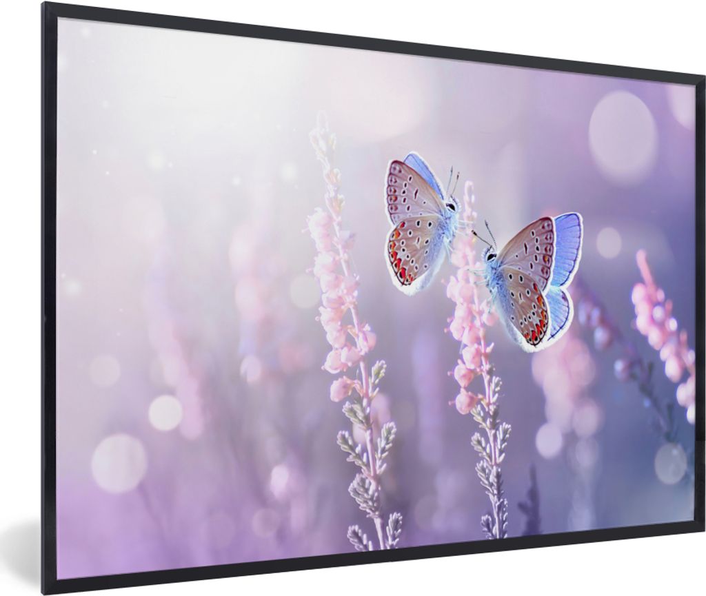 MuchoWow Gerahmtes Poster Schmetterling - Lavendel - Blumen - Lila 90x60 cm - Poster mit Schwarzem Bilderrahmen Wandposter Rahmen Foto Bilder - F...