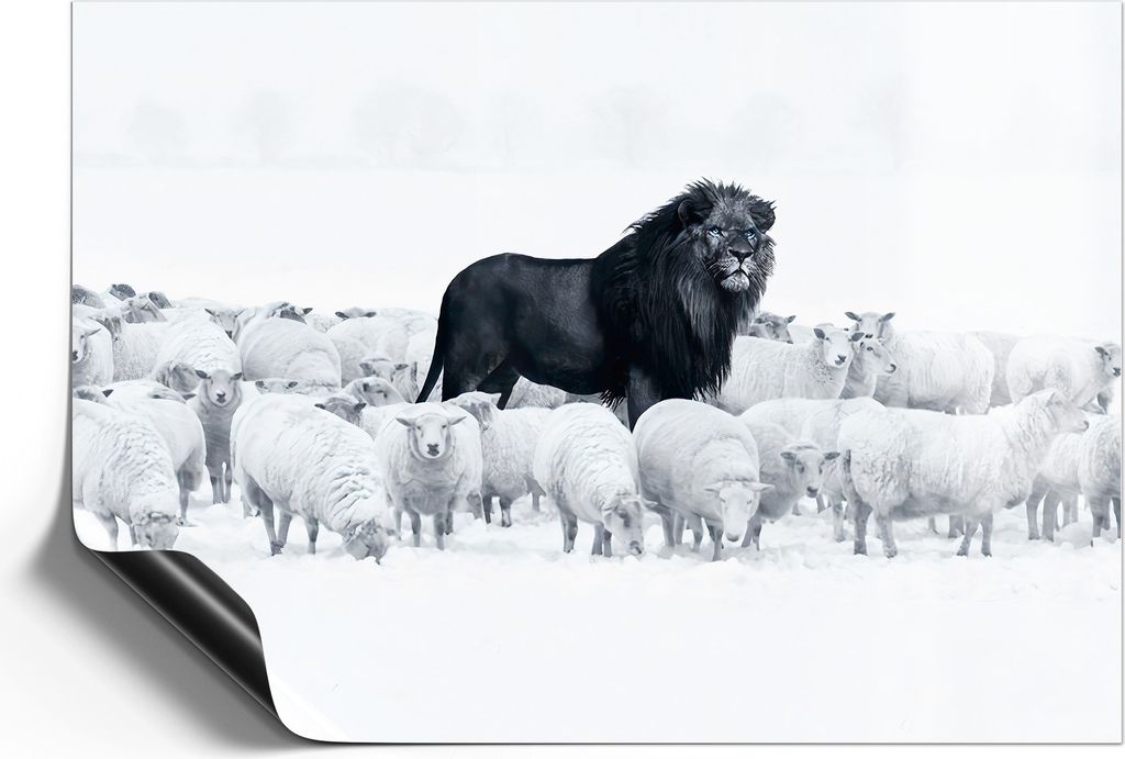 DEQORI Magnetmatte Universal 42x30 cm (A3) 'König der Herde' Magnetfolie Kalender Planer