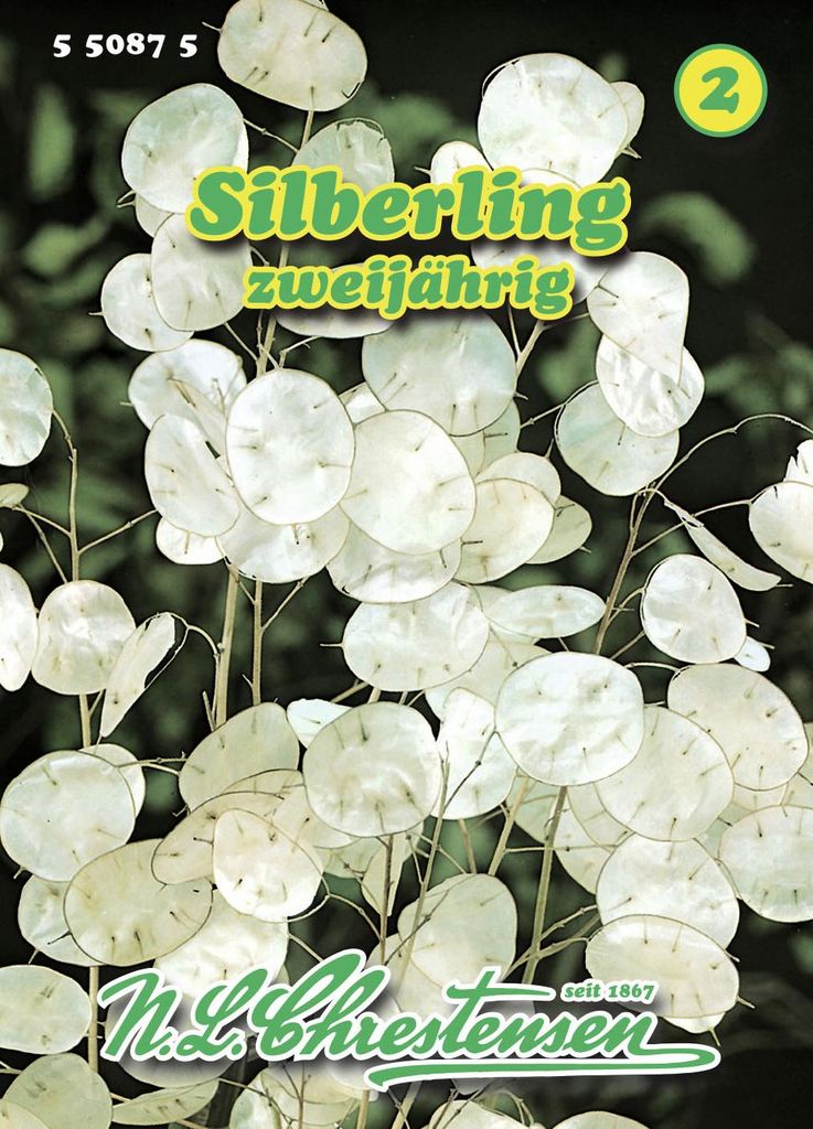 Artikelbild 1 von 'Silberling' aus der Kategorie Blumensamen