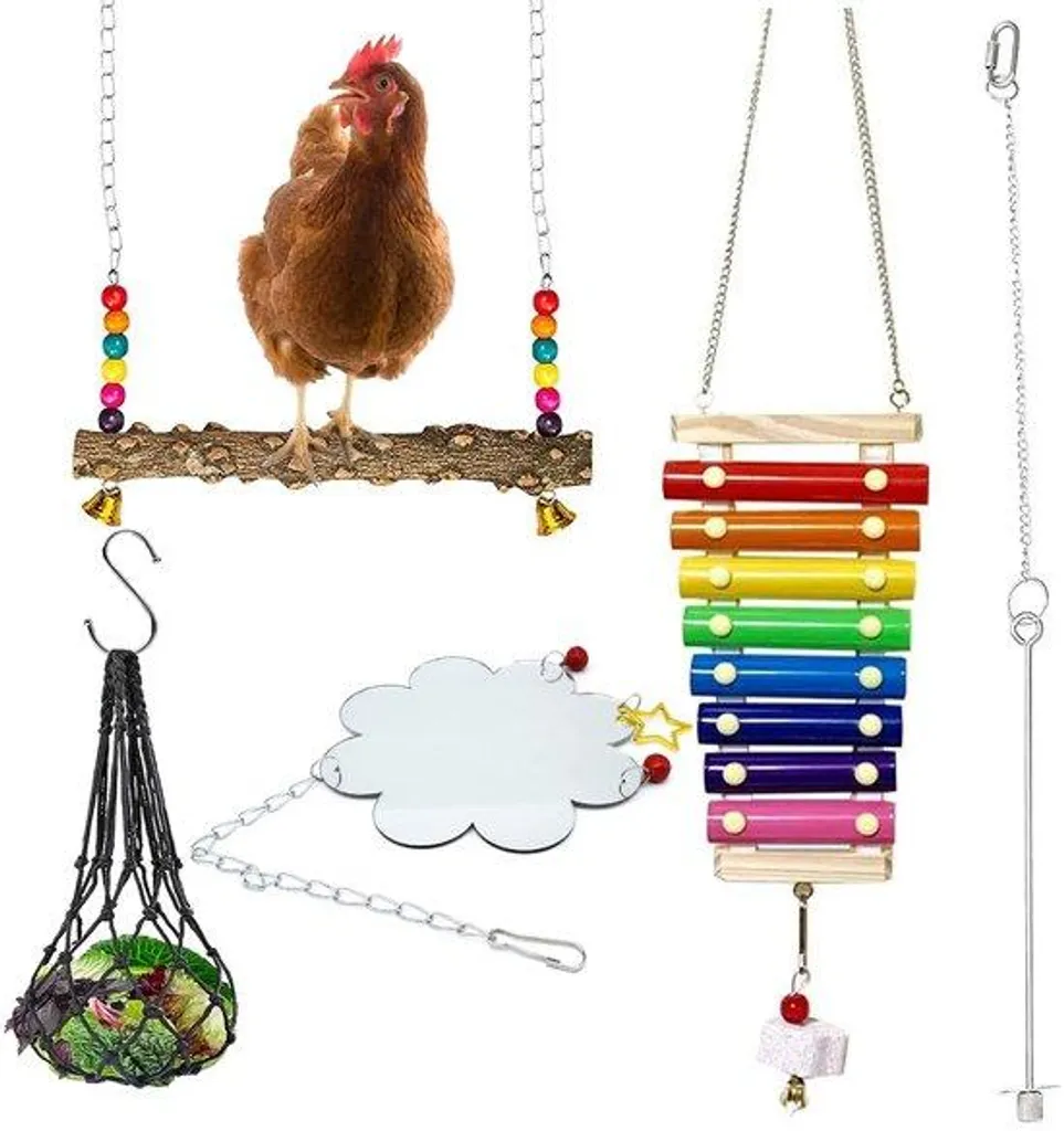 Accessoires de divertissement pour poulailler en bois : balançoire et jeux