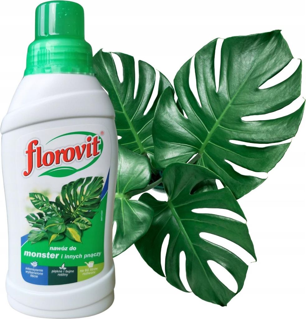 Pflanzenpflege Dünger - 0,55l - Für Monstera und andere Kletterpflanzen - Intensiv grüne Blätter - Einfache Anwendung