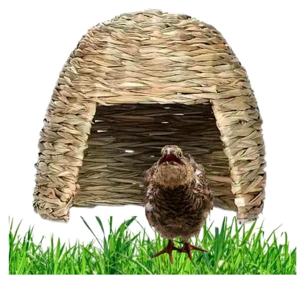 Nagerhaus Gras-Iglu L aus Miscanthus-Gras für mittelgroße Nager 21 x 16 cm